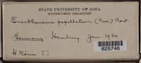 Image Associated With the Occurence